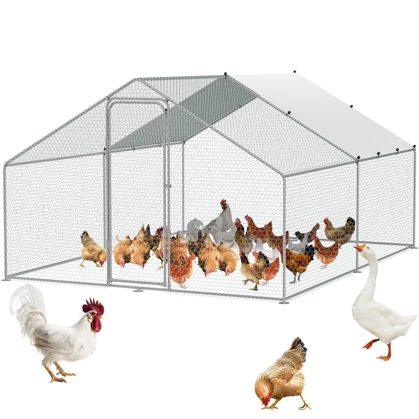 Metal Chicken Coop Walk-in Chicken Run med vattentät överdrag 9,8x13x6,5 fot