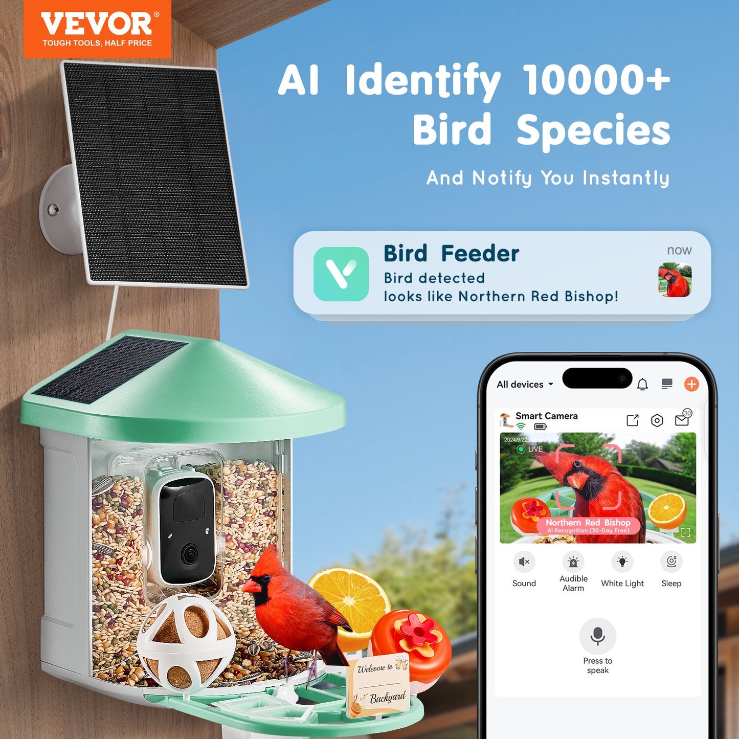 Smart Bird Feeder med kamera AI Identifiera 10 000+ fågelarter Soldriven