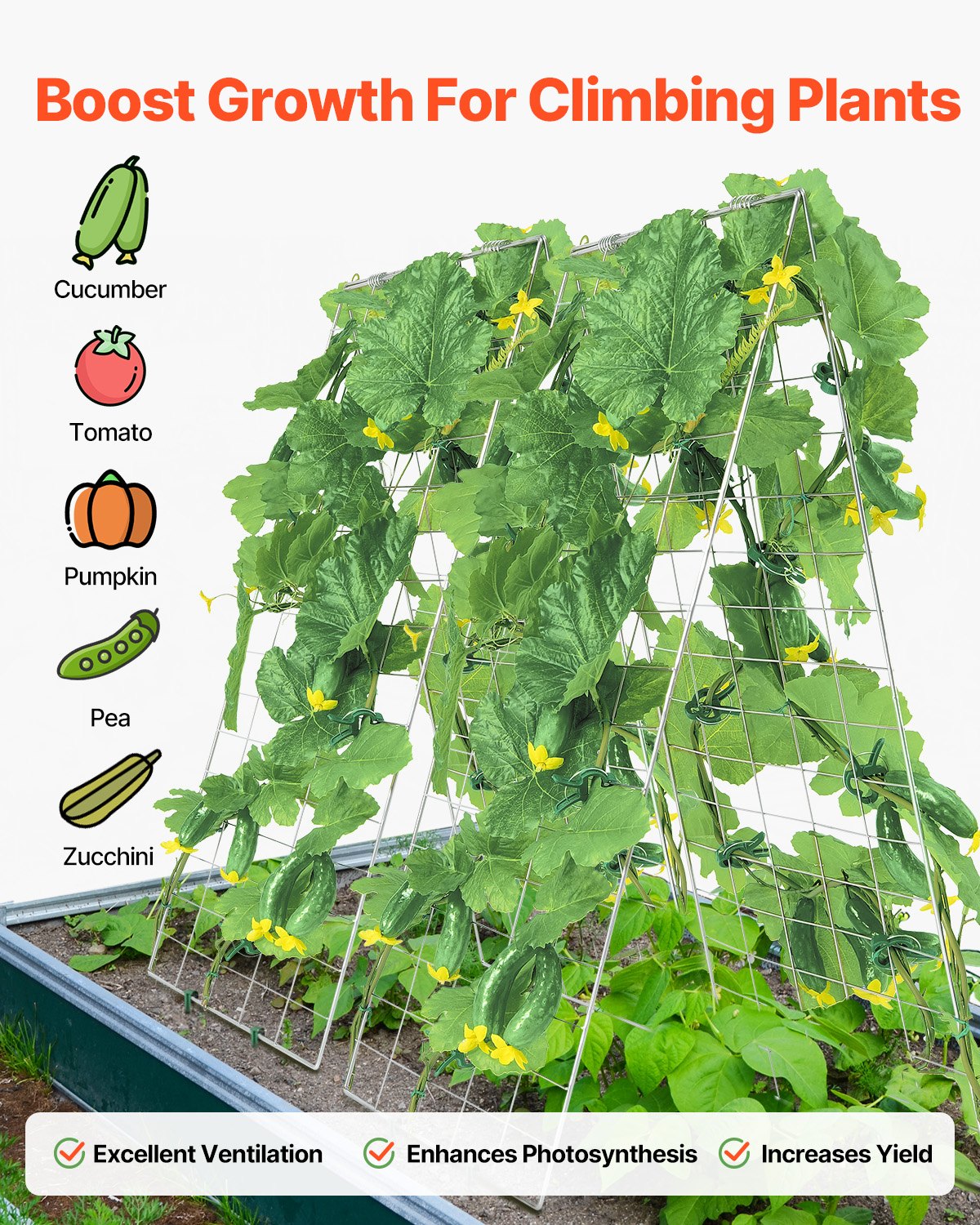 A-Frame Cucumber Trellis 35" x 55" Collapsible Metal Garden Trellis