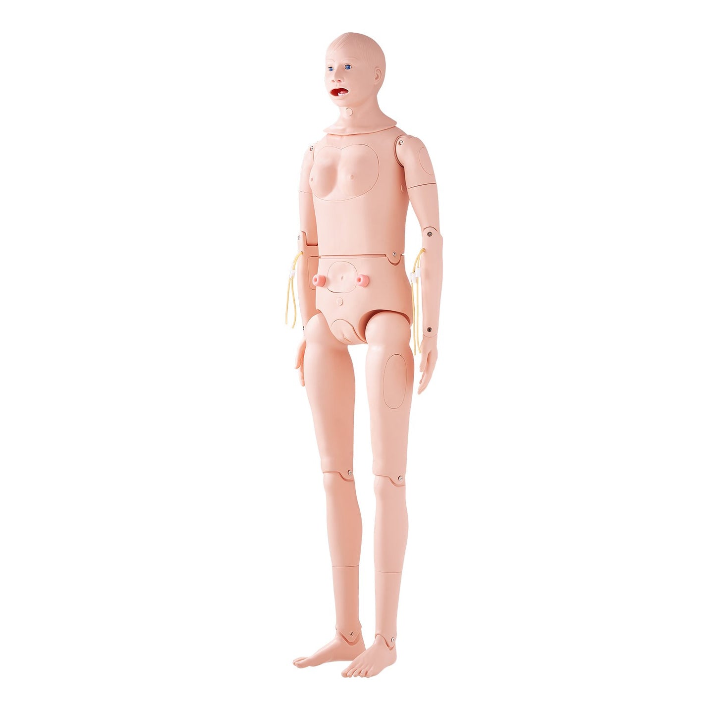 Sjukskötersketräningsdocka, manlig/kvinnlig demonstration i naturlig storlek Människodocka för sjukskötersketräning, multifunktionell utbildning undervisningsmodell, anatomisk skyltdocka kroppsvårdssimulatormodell