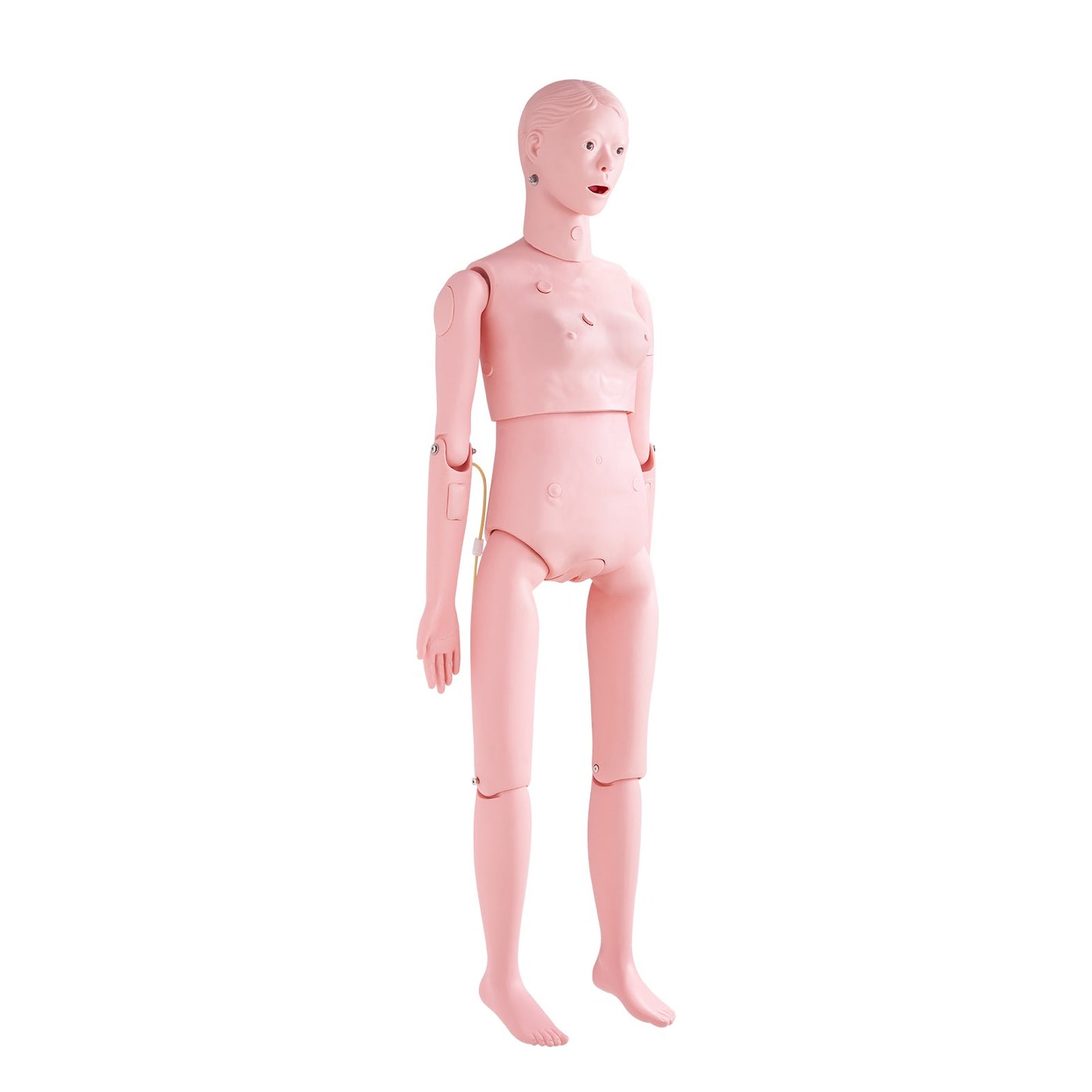 Sjukskötersketräningsdocka, demonstration av kvinnlig människodocka för sjukskötersketräning, multifunktionell utbildning Tillbehör för undervisningsmodeller, anatomisk skyltdocka kroppsvårdssimulatormodell