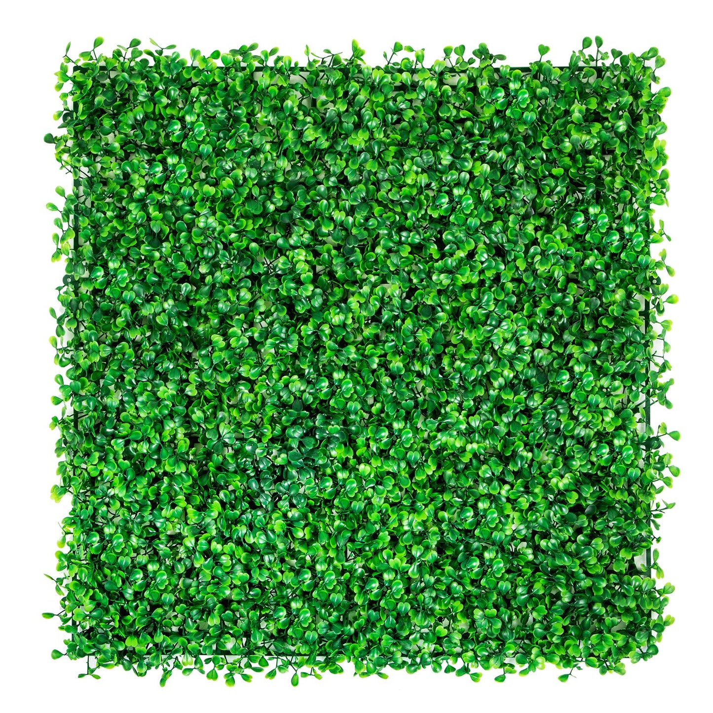 Konstgjord Buxbom Panel UV 48st Buxbom Häck Väggpaneler Konstgräs Bakgrundsvägg 10X10" 4cm Grönt Gräs Vägg Fake Häck för Inredning Sekretess Staket Inomhus Utomhus Trädgård Bakgård