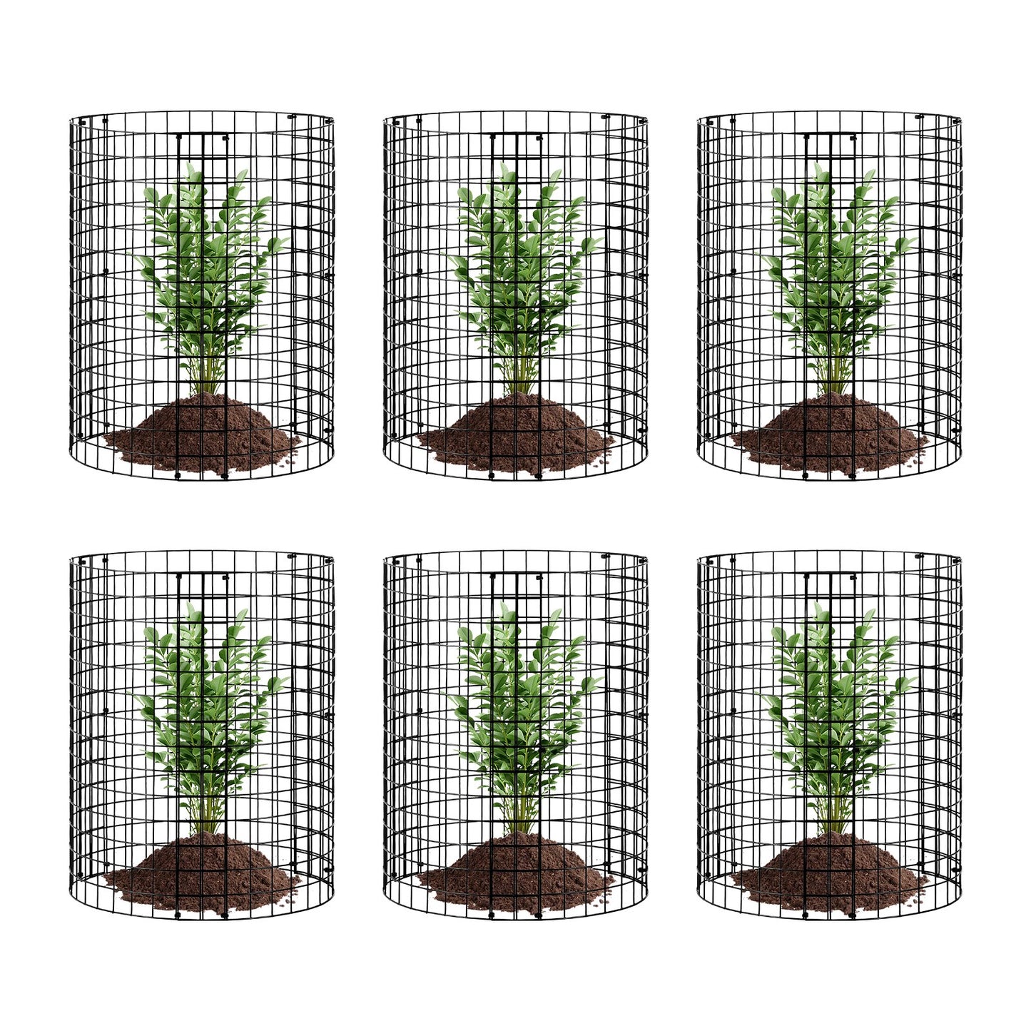 6-pack växtskydd från djur 12,6'' Dia. x 14'' H Metal Plant Cage
