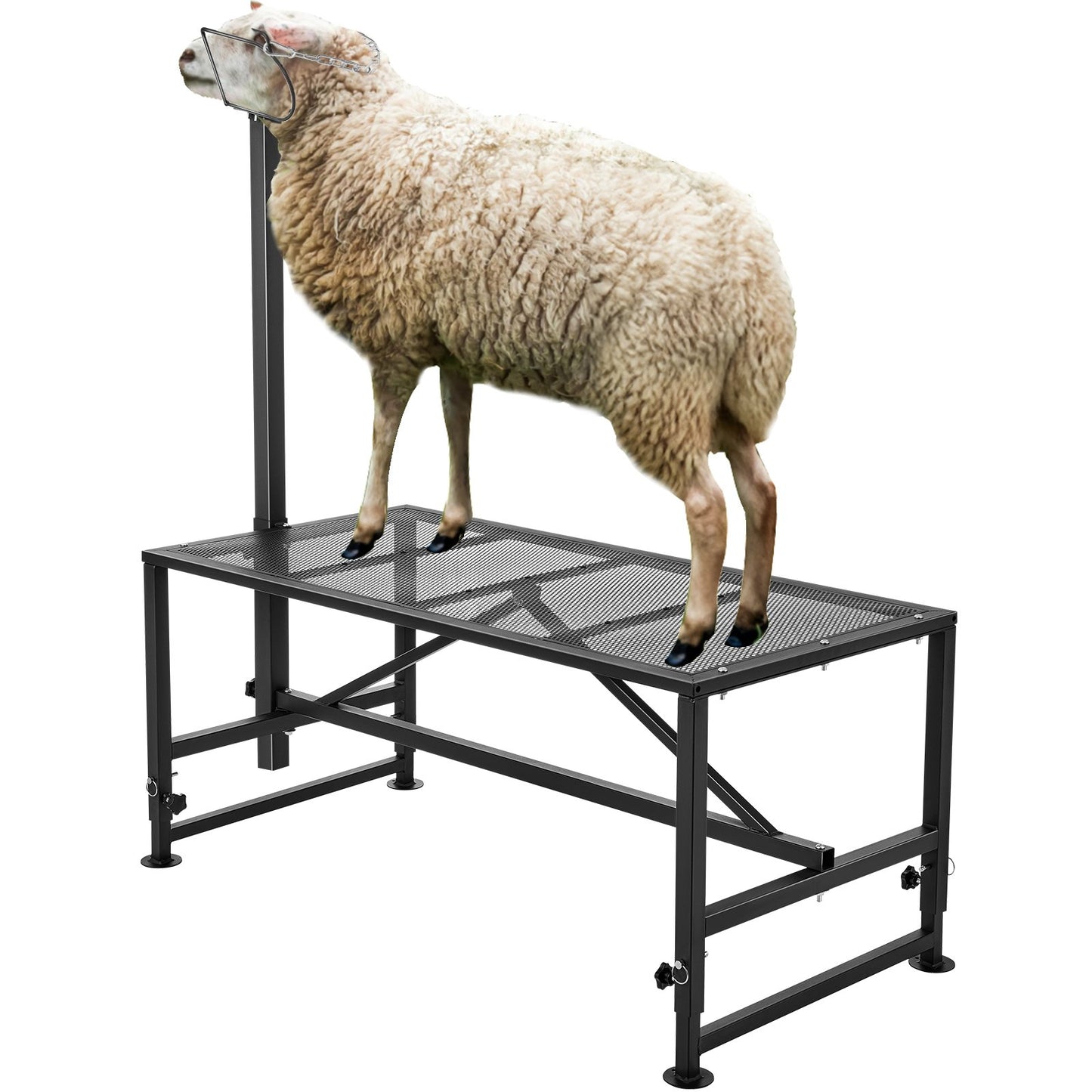 Viehstand Ziegentrimmstand 21"-33" Höhe 47x23 in Tischplatte Schwarz