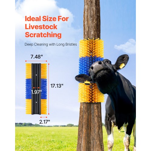 Livestock Scratching Brush 6st Itch Relief Horse Scratcher Brush 17,1 tum | EU