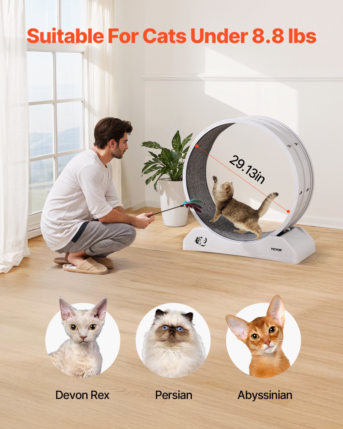 Cat Training Wheel 31.5 in Large Indoor Cat Running Wheel Treadmill White