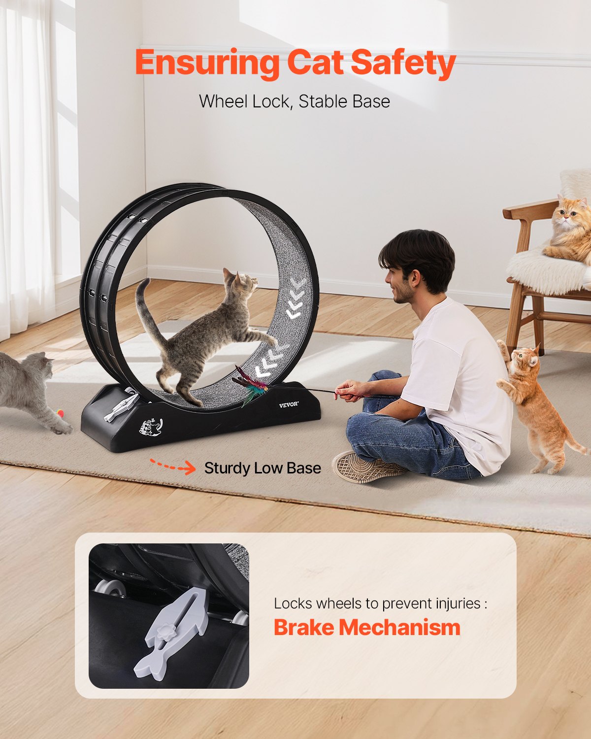 Cat Training Wheel 31.5 in Large Indoor Cat Running Wheel Treadmill Black