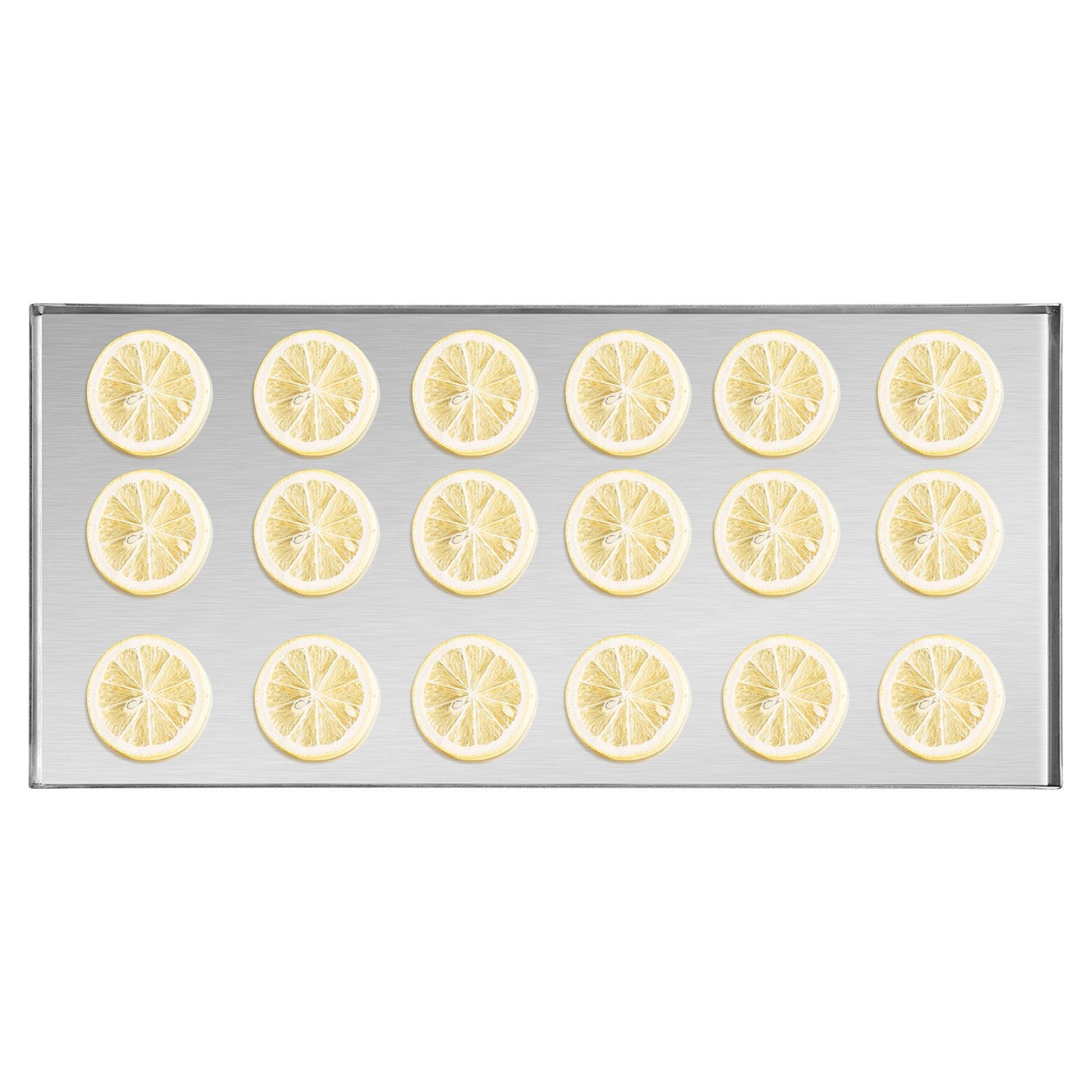 Vakuum-Gefriertrockner 4-Schicht-Gefriertrocknungsmaschine für Obst und Gemüse, weiß