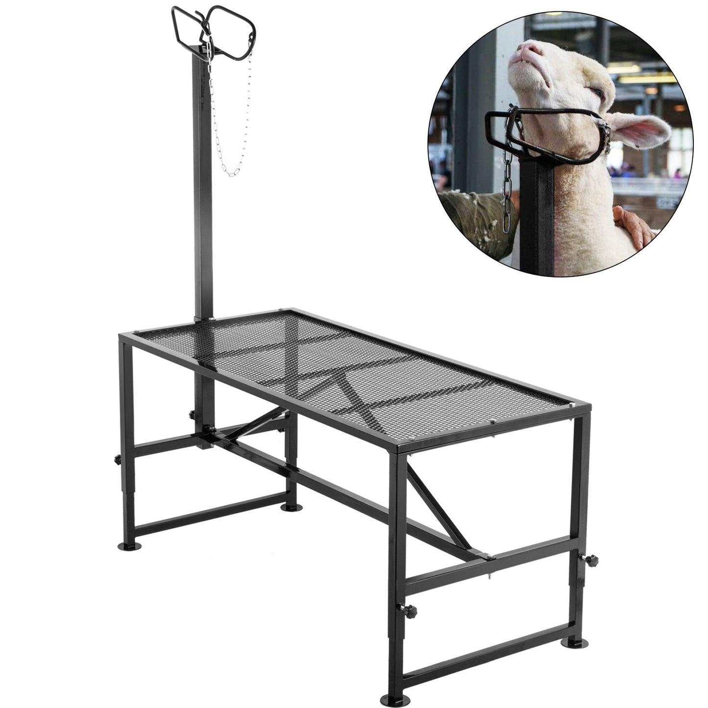 Viehständer 51x23 Zoll, Trimmständer mit geradem Kopf, Ziegenscherständer Metallständer Schafscherständer für Vieh-Trimmständer
