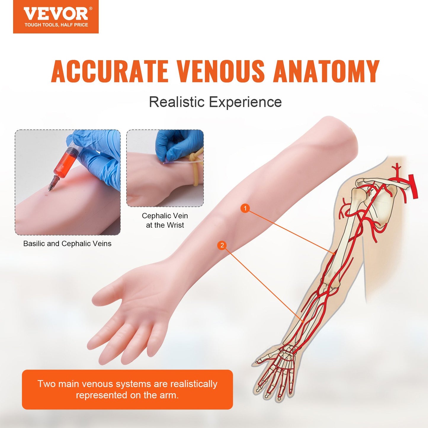 Phlebotomy Practice Kit, IV Venipuncture Intravenous Training Kit, High Simulation IV Practice Arm Kit with Carrying Case, Practice and Perfect IV Skills, for Students Nurses and Professionals