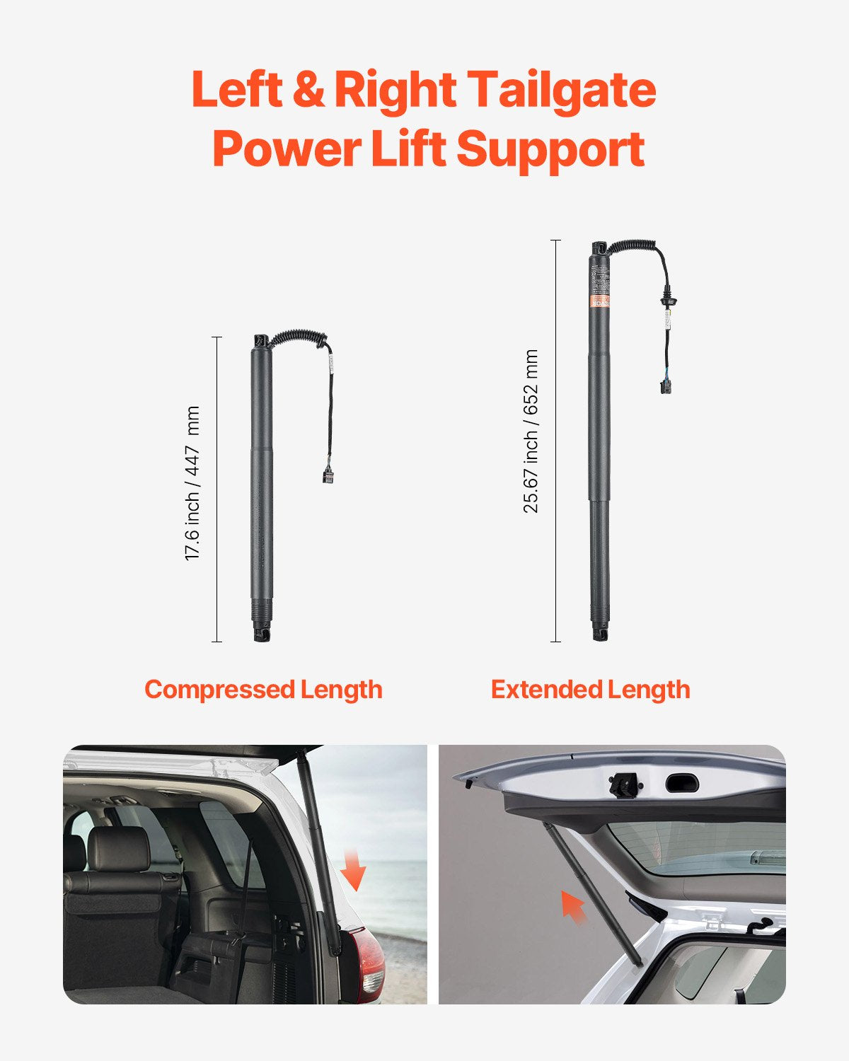 Rear Liftgate Power Struts Compatible with 2015-2020 Superb III 3V5 Estate