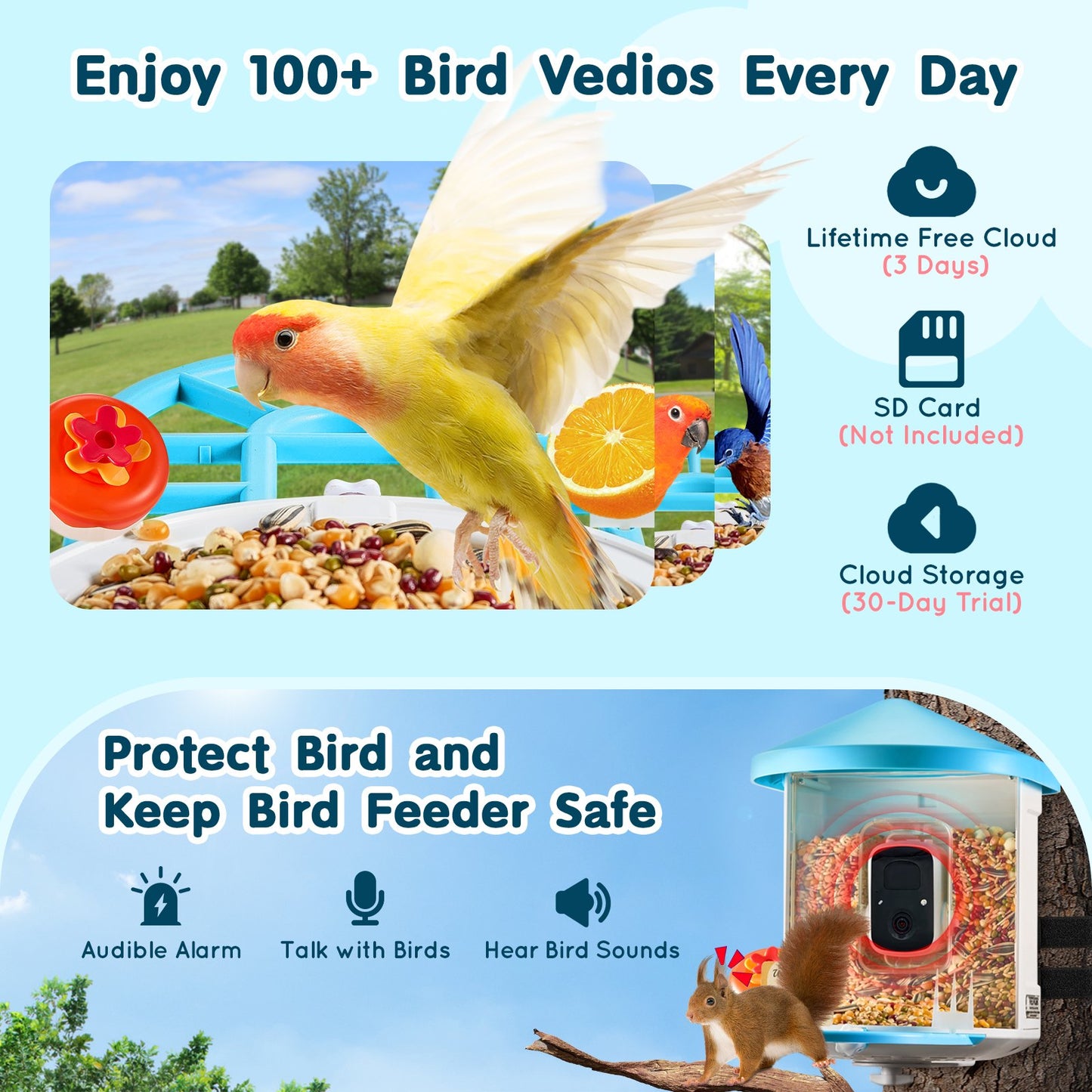 Smart Bird Feeder med kamera 2K HD AI Identifiera fågelarter Soldriven
