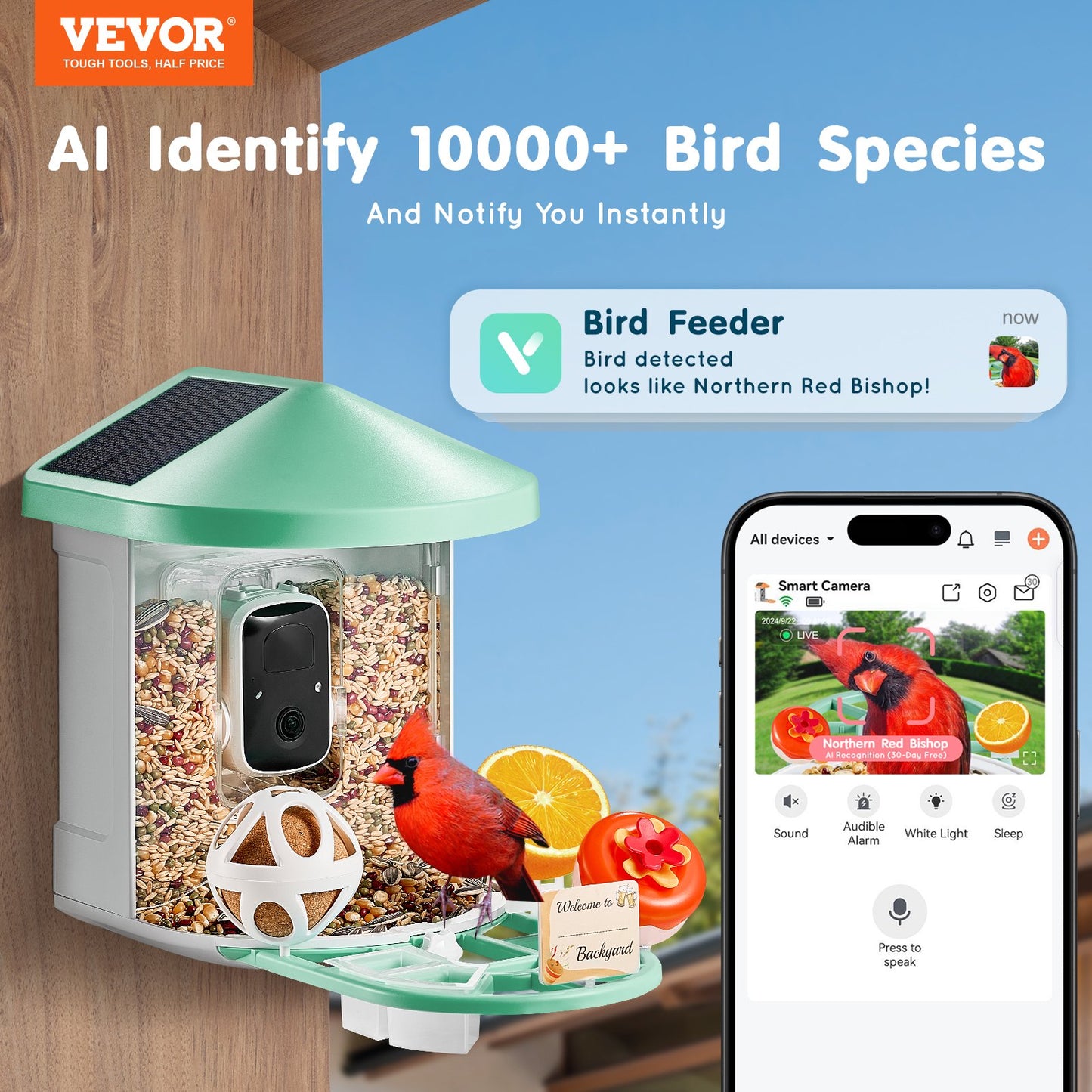 Smart Bird Feeder med kamera 2K HD AI Identifiera fågelarter Soldriven