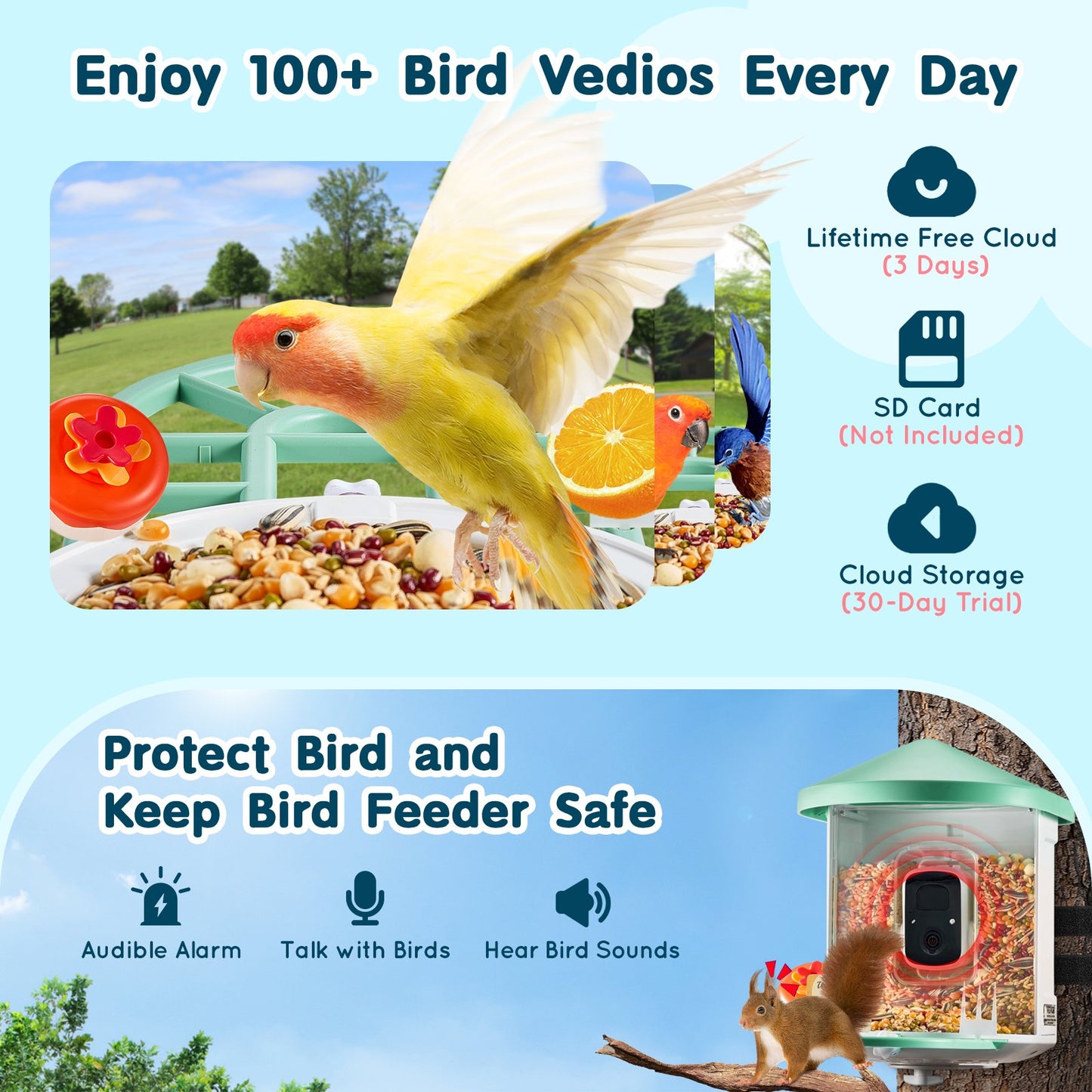 Smart Bird Feeder med kamera 2K HD AI Identifiera fågelarter Soldriven