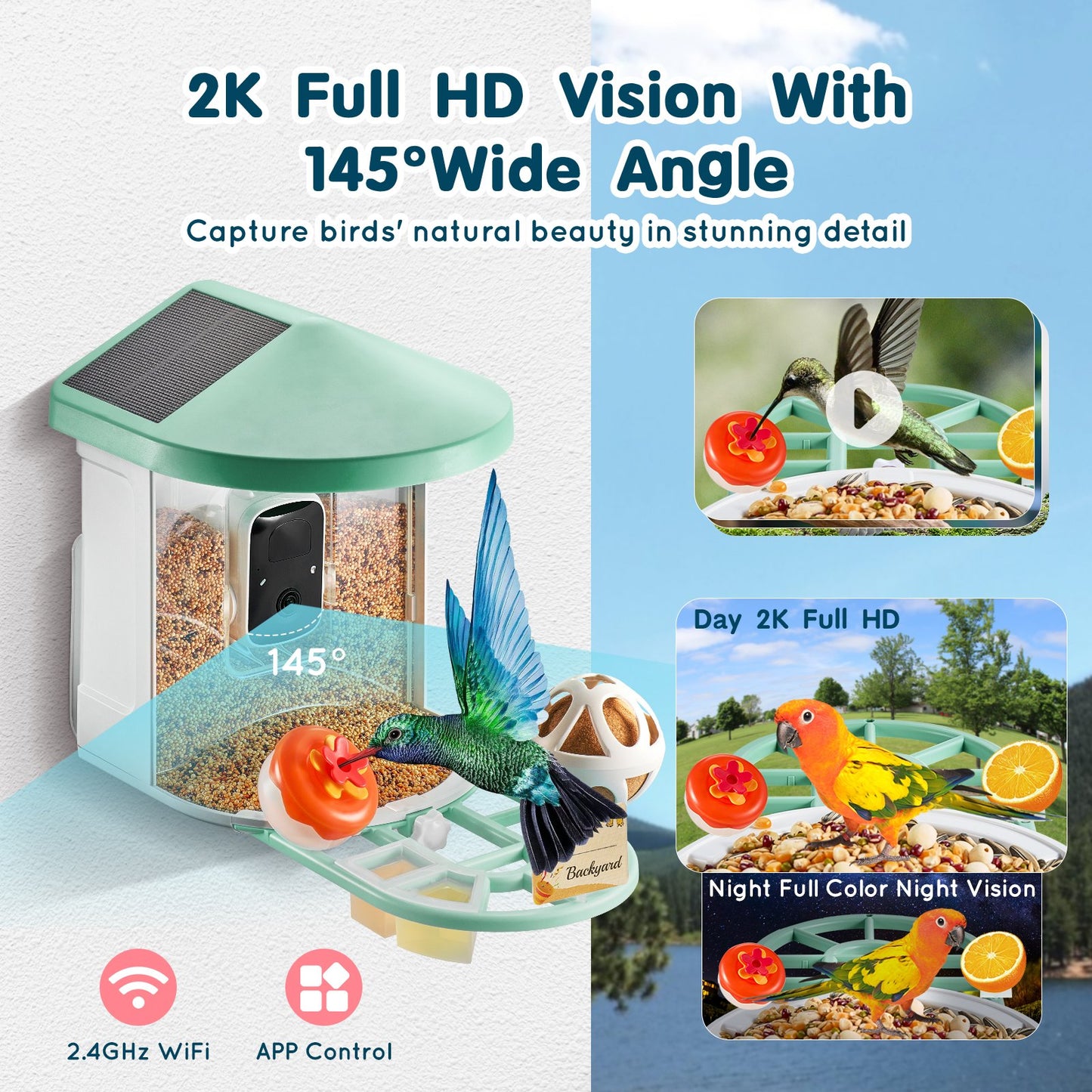 Smart Bird Feeder med kamera 2K HD AI Identifiera fågelarter Soldriven