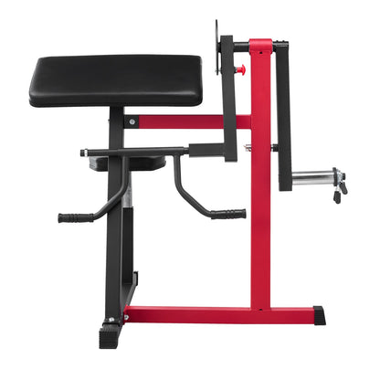 2 in 1 Preacher Curl Bench Bicep Curls and Triceps Extension Machine