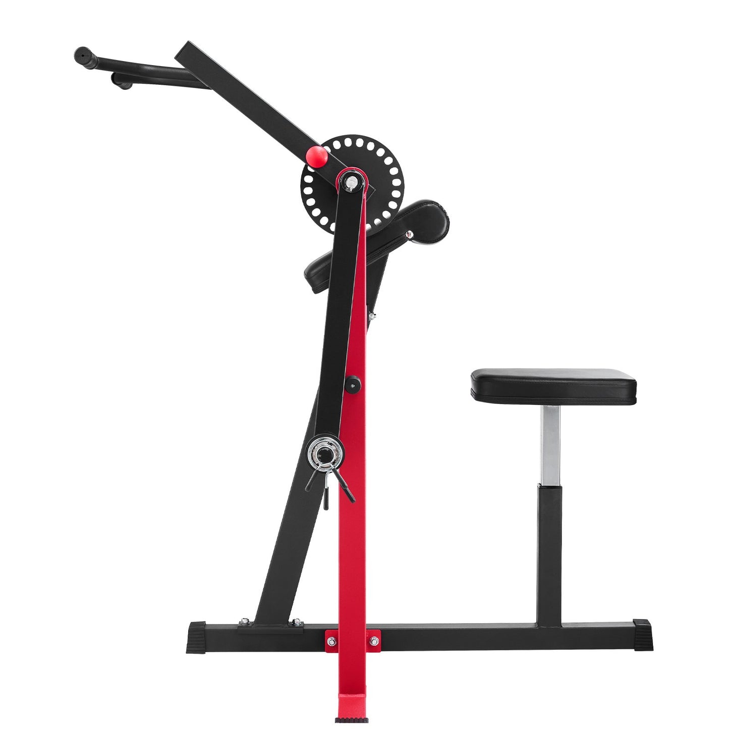 2 in 1 Preacher Curl Bench Bicep Curls and Triceps Extension Machine