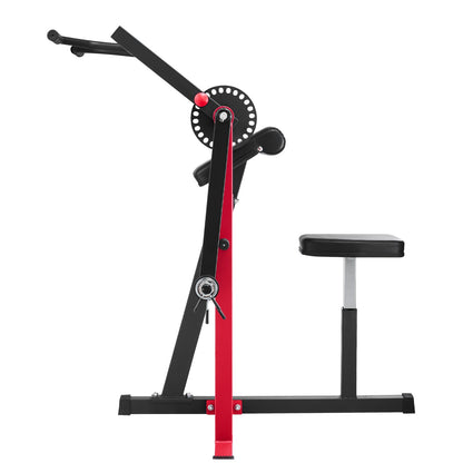 2 in 1 Preacher Curl Bench Bicep Curls and Triceps Extension Machine