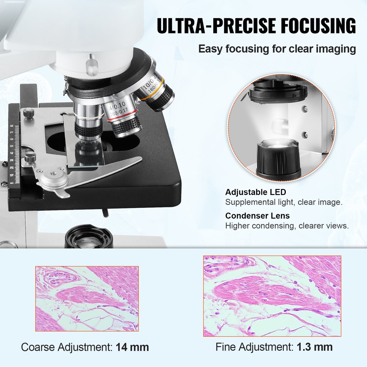 Binocular Compound Microscope 40X-2500X Tvålagers Mekanisk Steg