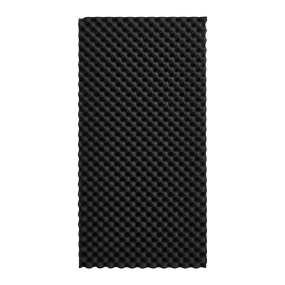 Acoustic Foam Panels 2-Pack 48 x 24 x 2 Inch for Studio Wall and Ceiling