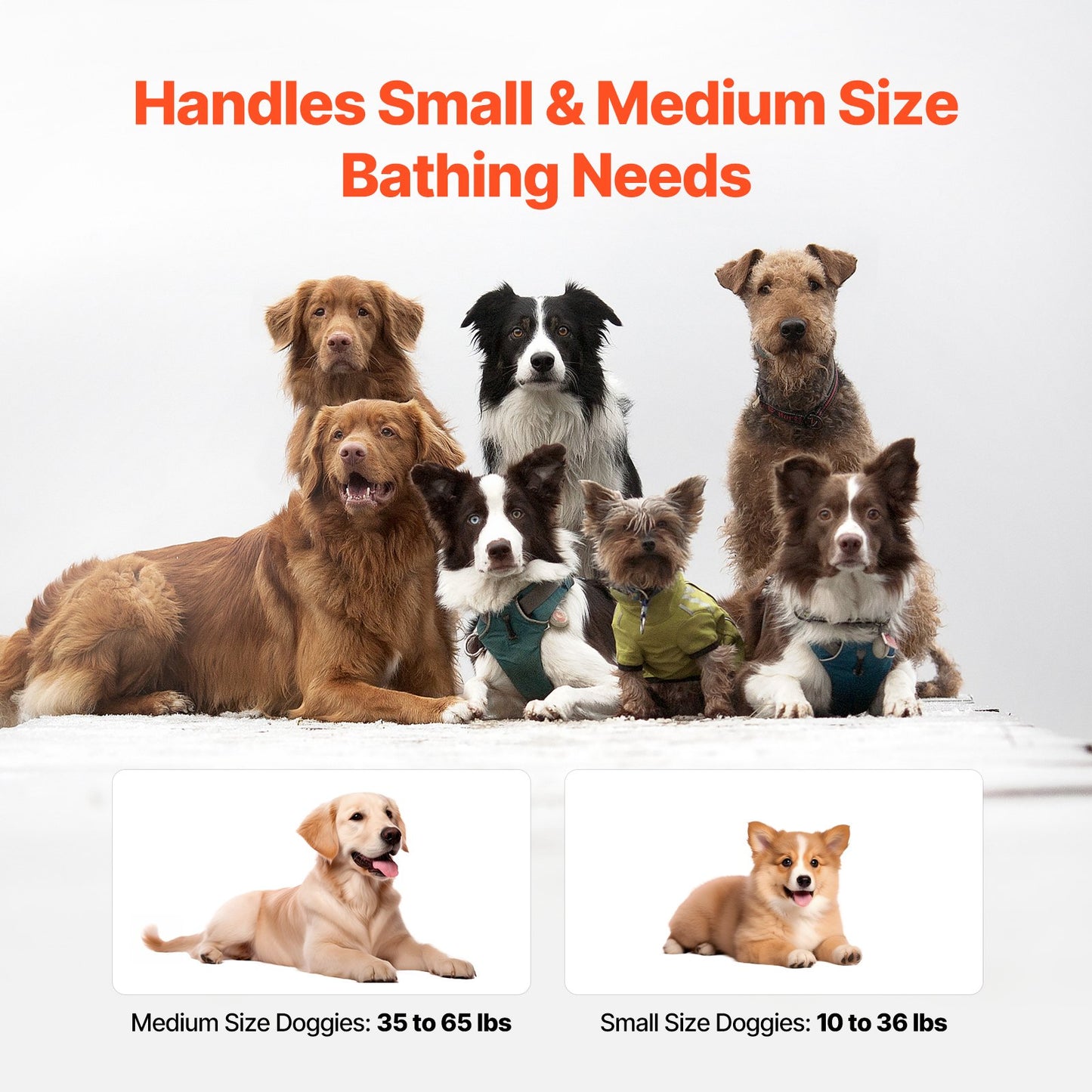 Foldable Dog Bathtub Raised Gray Shower Station for Small and Medium Pets