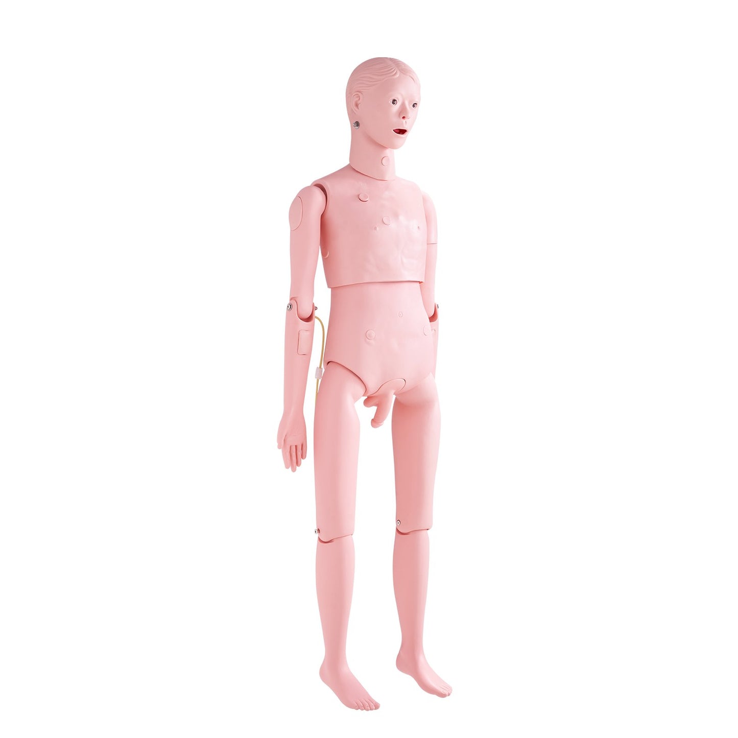 Sjukskötersketräningsdocka, manlig demonstration i naturlig storlek Människodocka för sjukskötersketräning, multifunktionell utbildning Tillbehör för undervisningsmodeller, anatomisk skyltdocka kroppsvårdssimulatormodell