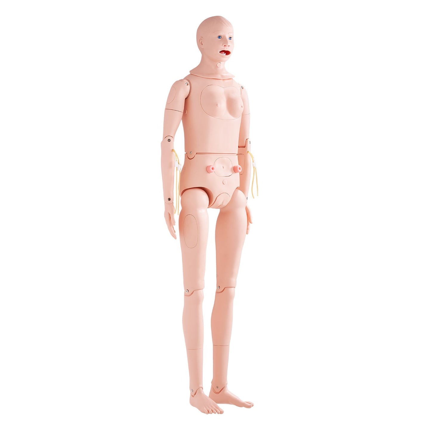 Sjukskötersketräningsdocka, manlig/kvinnlig demonstration i naturlig storlek Människodocka för sjukskötersketräning, multifunktionell utbildning undervisningsmodell, anatomisk skyltdocka kroppsvårdssimulatormodell