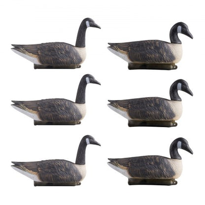 Canada Goose Decoy Utomhusgåsflytare med ultrarealistisk färg 6-pack