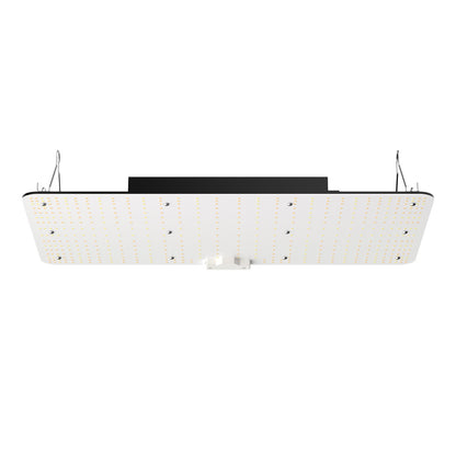 LED Grow Light, 200W Full Spectrum Dimbar, High Yield Samsung 2B1B Dioder Odlingslampa för inomhusväxter Fröplantor Veg och Bloom Växthusodling, Daisy Chain Driver för 2x4/3x3 ft odlingstält
