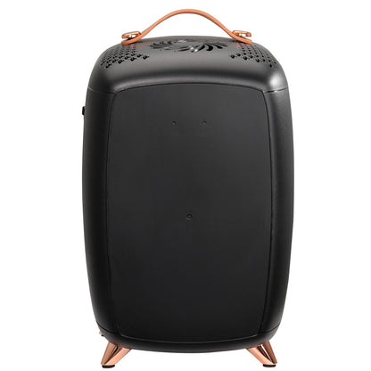Mini Fridge, 6L/8 Cans Compact Personal Fridge, AC/DC Portable Thermoelectric Cooler and Warmer Refrigerator, Skincare Refrigerator for Drinks, Snacks, Home, Office and Car, CE Marked (Black)