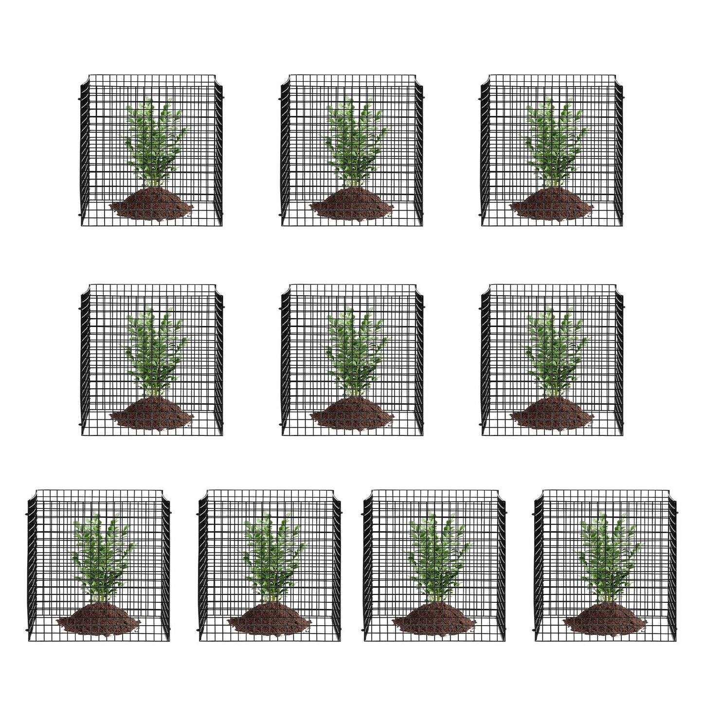 10-pack växtskydd från djur 12'' x 12'' växtbur för grönsaker