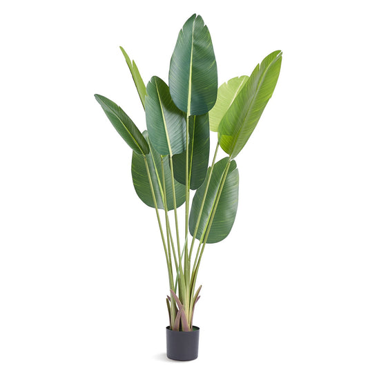 Artificial Birds of Paradise, 1.5m Tall Artificial Plant, PE Material and Tip-over Protection, Low Maintenance Plant, Lifelike Green Fake Tree for Home Office Warehouse Decor Indoor Outdoor