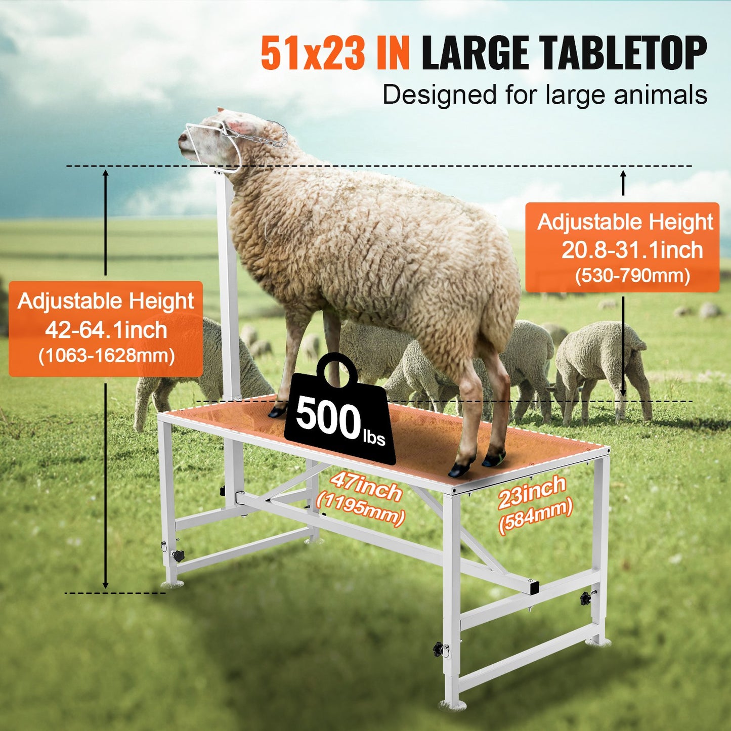 Viehstand Ziegentrimmstand 21"-33" Höhe 47x23 in Tischplatte Weiß