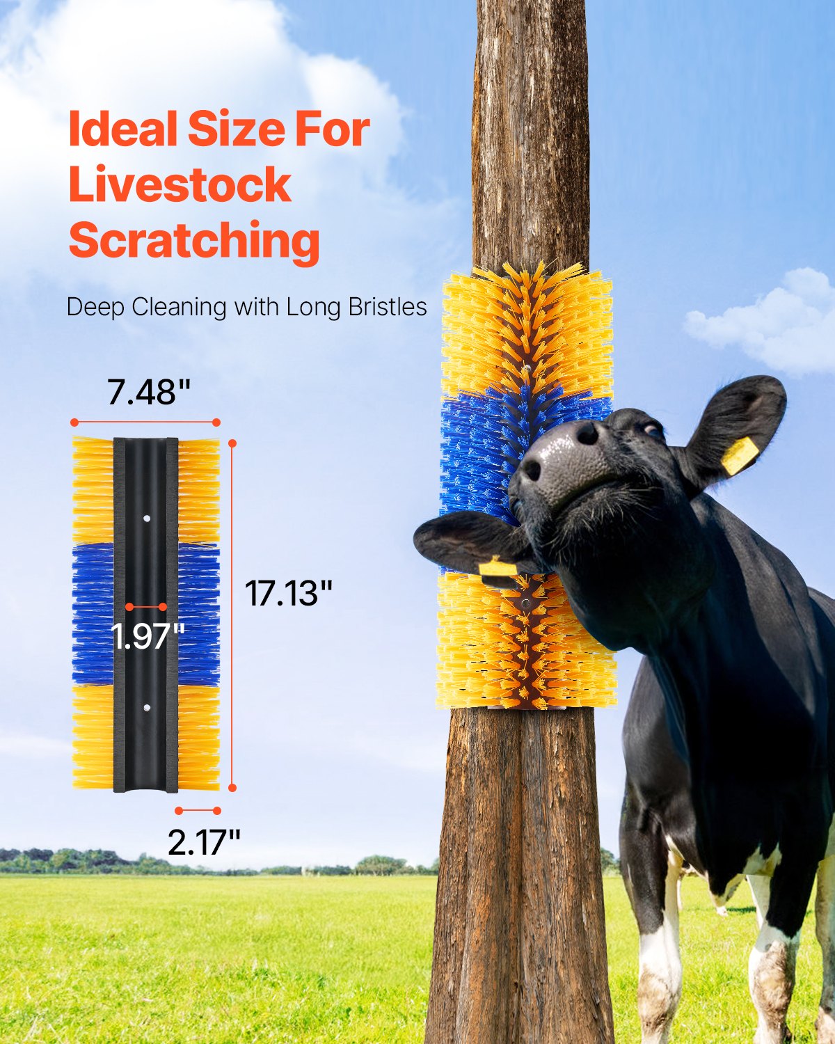 Livestock Scratching Brush 4st Itch Relief Horse Scratcher Brush 17,1 tum