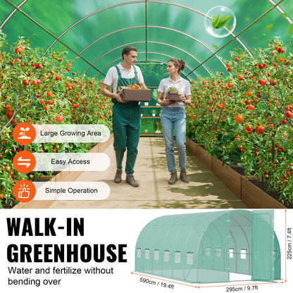Begehbares Tunnelgewächshaus 19.36x9.68x7.4ft Verzinkter Rahmen PE-Abdeckung Grün