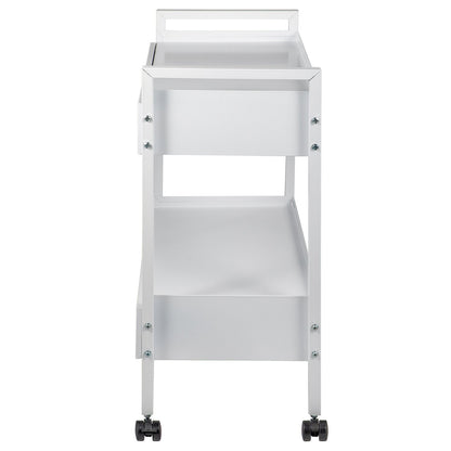 Lab Cart, 2 våningar rostfritt stål Utility Cart Medical Cart 2 lådor Rullande labbvagn Vit färg serveringsvagn med 360° hjul för laboratorie sjukhus Tandvårdssalong Skönhet