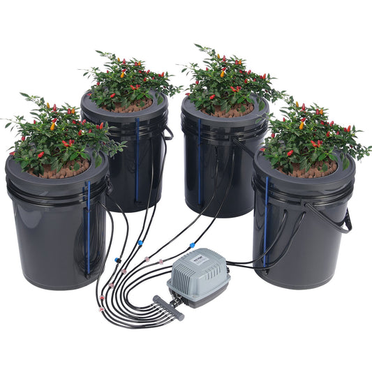 DWC Hydroponics Grow System Djupvattenkultur med Top Drip 4 hinkar