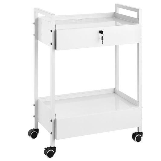 Lab cart, 2-tier stainless steel cart, medical cart with 2 drawers, rolling lab cart white color, serving cart with swivel wheels for laboratories, hospitals, dentistry, salon and beauty