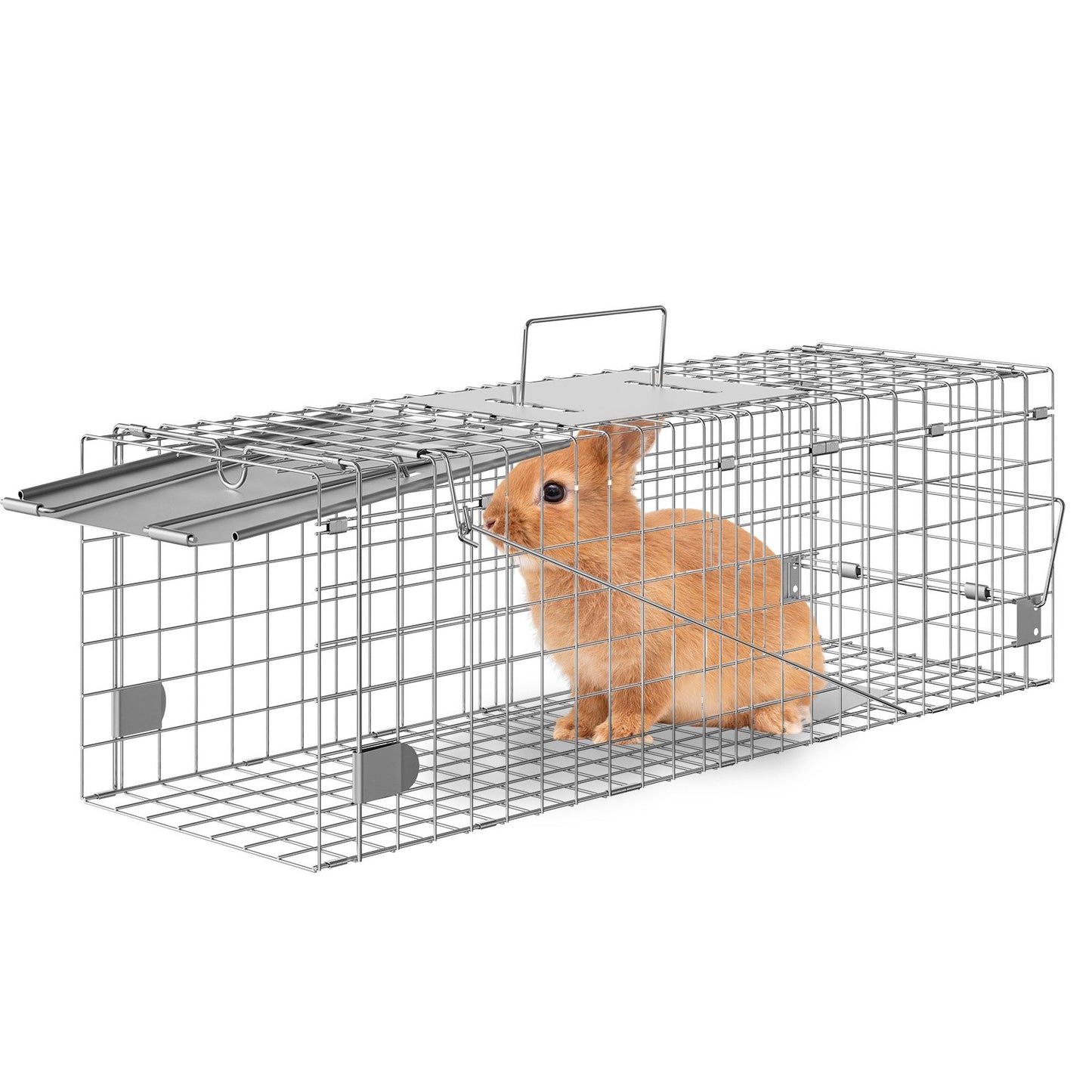 Live Animal Cage Trap, 24" x 8" x 8" Humane Cat Trap Galvanized Iron, Foldable Animal Trap with Handle for Rabbits, Stray Cats, Squirrels, Raccoons, Aardvarks and Opossums