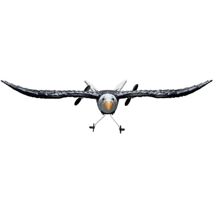 RC Airplane Biomimetic Eagle EPP Foam RC Plane Toy 2.4GHz Remote Control