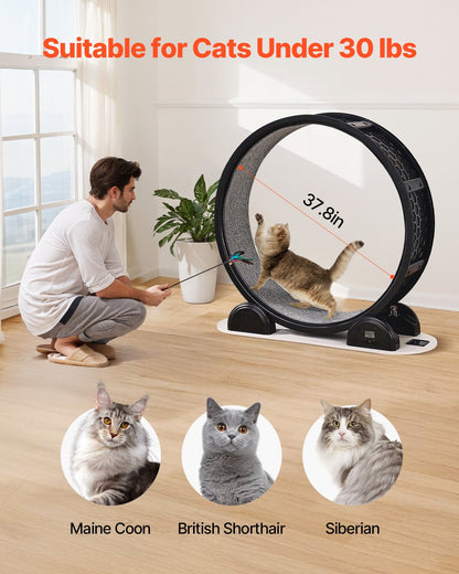 Cat träningshjul med stegräknare 40,8" Cat löpband för Pet Health Svart