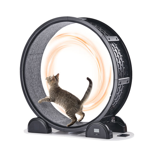 Cat träningshjul med stegräknare 40,8" Cat löpband för Pet Health Svart