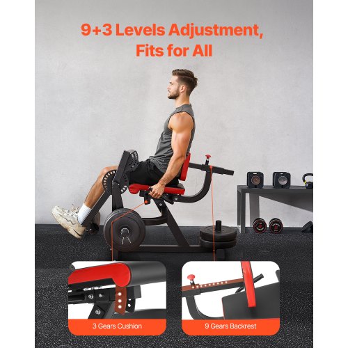 Lower body leg extension and flexion machine, special bench for leg training, gym | EU