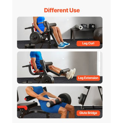 Lower body leg extension and flexion machine, special bench for leg training, gym | EU