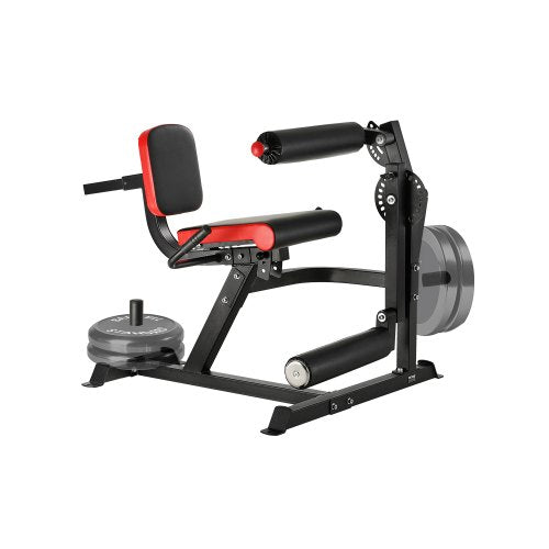 Lower body leg extension and flexion machine, special bench for leg training, gym | EU