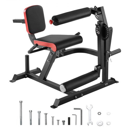 Lower body leg extension and flexion machine, special bench for leg training, gym | EU