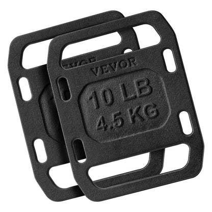 Cast iron back weights for rucking weight plate with handles 10LB pair