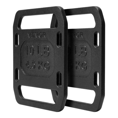 Cast iron back weights for rucking weight plate with handles 10LB pair