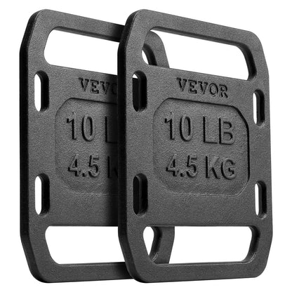 Cast iron back weights for rucking weight plate with handles 10LB pair